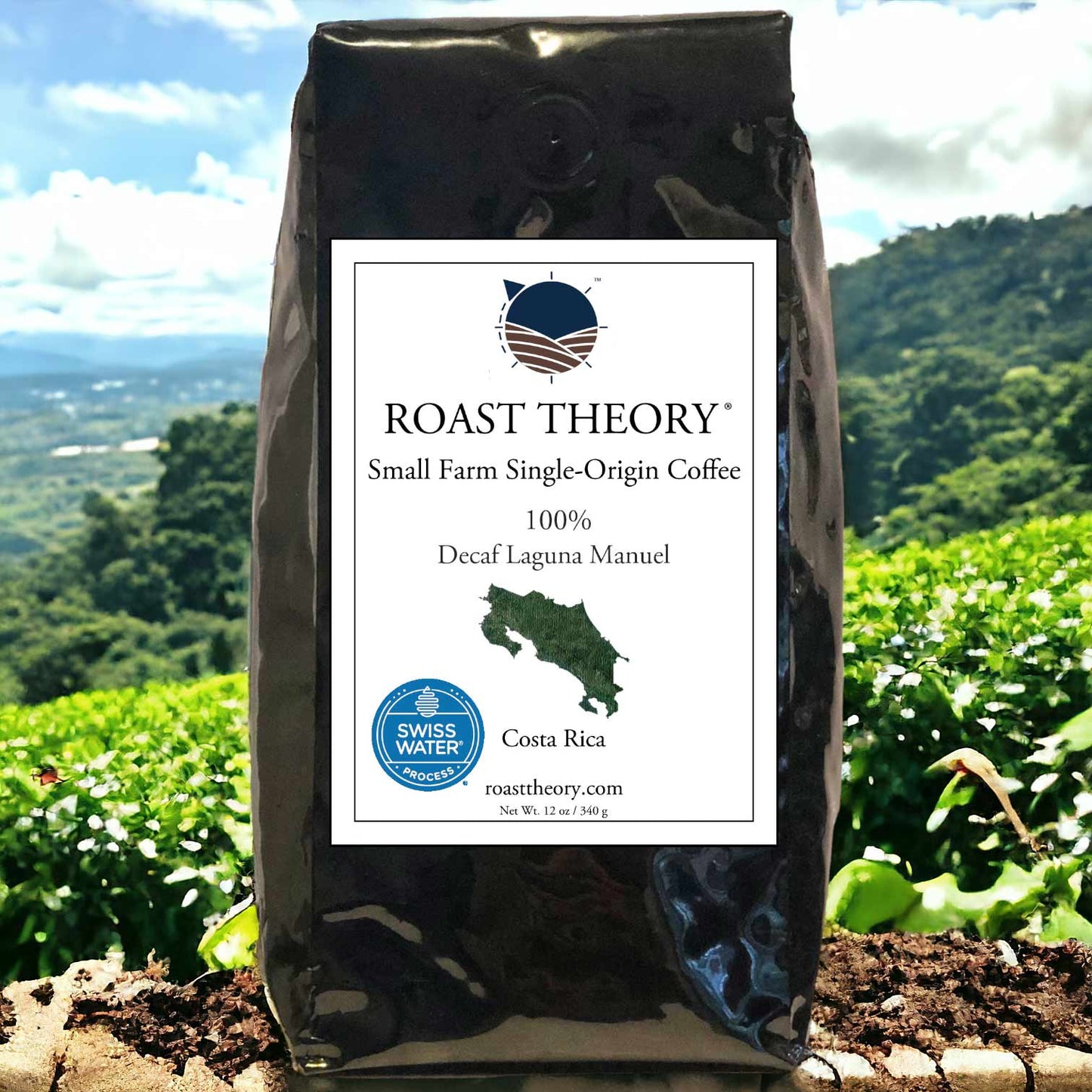 Costa Rica Decaf 100% Laguna Manuel Single-origin Coffee Roast Theory