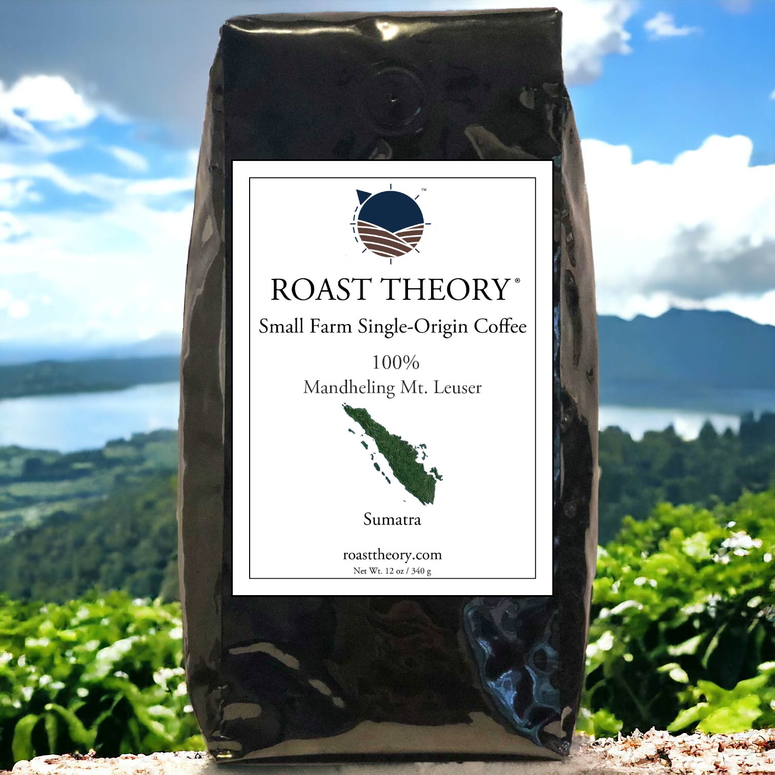 Sumatra Indonesia 100% Mandheling Mt. Leuser Single-origin Coffee Roast Theory