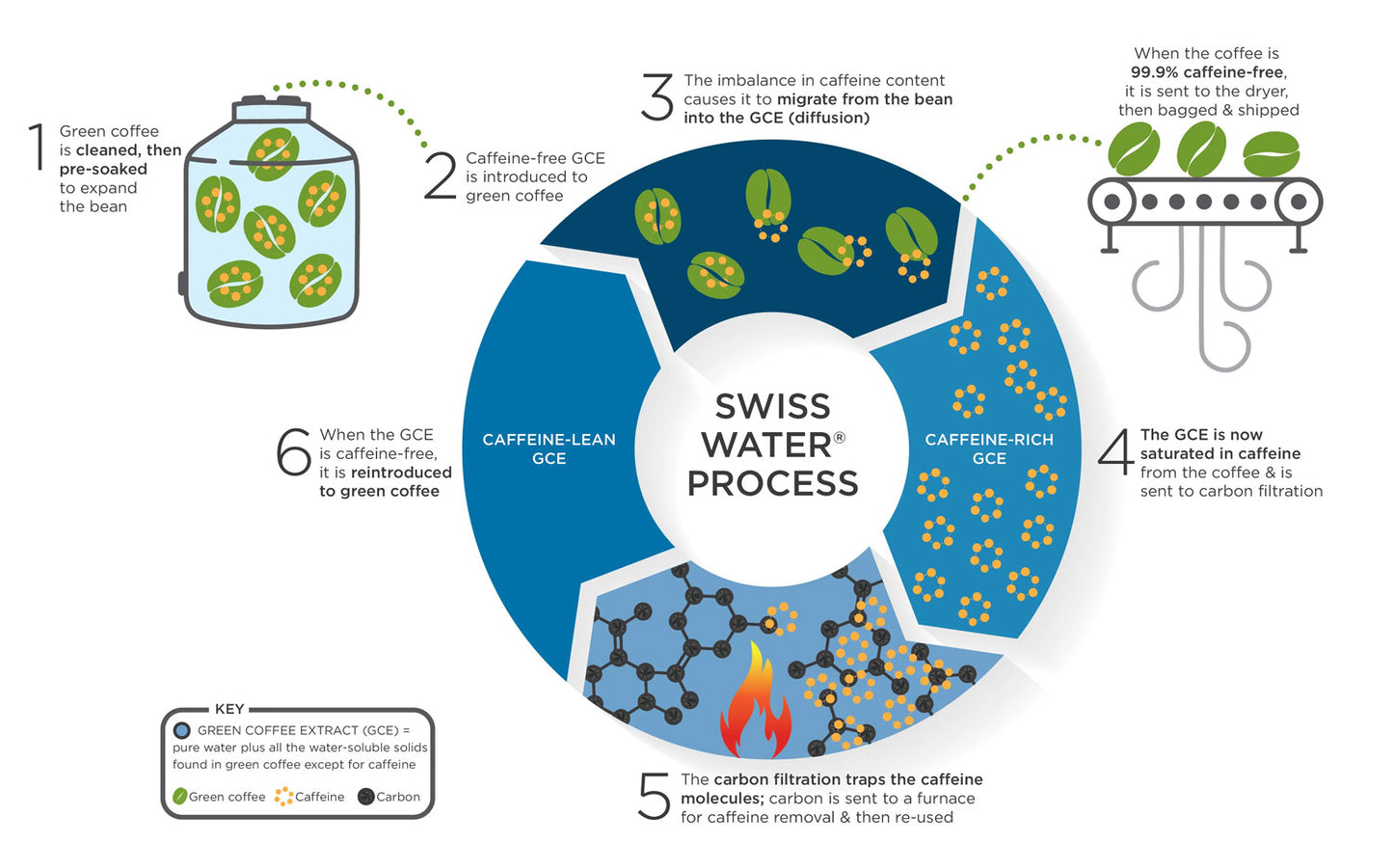 Swiss Water Process Decaf Coffee Decaffeinated Caffeine Free Infograph Roast Theory